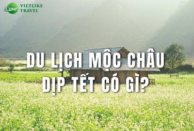 Du lịch Mộc Châu Tết 2024 có gì?