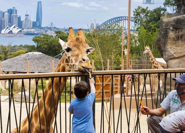 Sydney Zoo