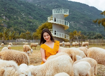 Trải nghiệm tham quan đồng cừu