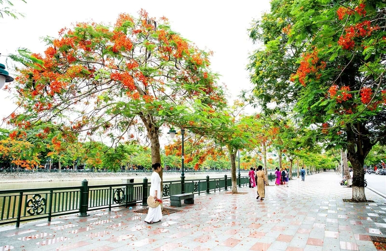 Tour Đông Tây Bắc: Mù Cang Chải - Đèo Khau Phạ - Tú Lệ - Trạm Tấu (3N2Đ)