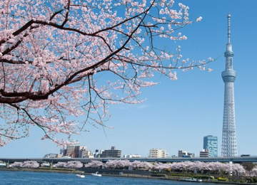 Tháp Tokyo Sky Tree
