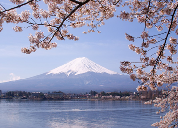 Tour Nhật Bản (Hoa anh đào): NARA – OSAKA – KYOTO – NAGOYA – PHÚ SĨ - TOKYO (6N5Đ)