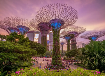 Bay South Gardens By The Bay