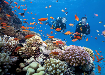 TOUR DU LỊCH HÈ DOANH NGHIỆP: HÀ NỘI - QUY NHƠN – PHÚ YÊN (4N3Đ)