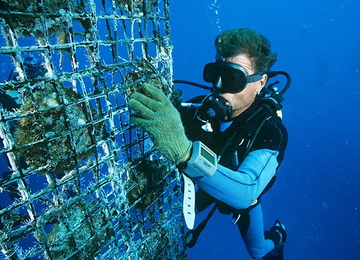 TOUR DU LỊCH HÈ DOANH NGHIỆP: HÀ NỘI - PHÚ QUỐC (3N2Đ)