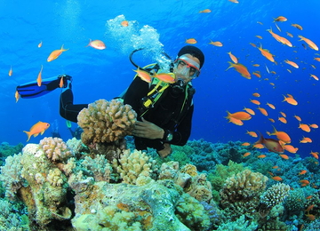 TOUR HÀ NỘI - NHA TRANG (3N2Đ)