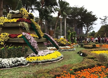 Tour Đài Loan: ĐÀI BẮC - ĐÀI TRUNG - NAM ĐẦU - CAO HÙNG (5N4Đ, bay VJ)