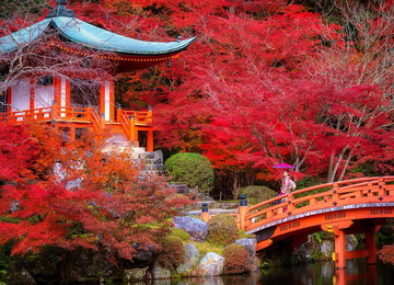 Tour Nhật Bản - Cung đường vàng \"bản mới\" (6N5Đ)