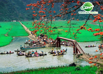 Tour Du xuân: Hà Nội - Chùa Hương (1 ngày)