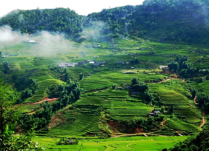 Mai Châu 