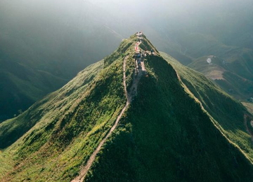 Sống lưng Khủng long 