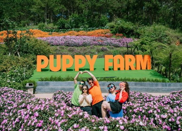 Nông trại Puppy Farm
