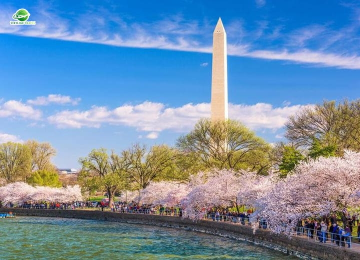 Tour Mỹ mùa hoa anh đào: NEW YORK – PHILADELPHIA - WASHINGTON D.C – LAS VEGAS - LOS ANGELES – SAN DIEGO (10N9Đ)