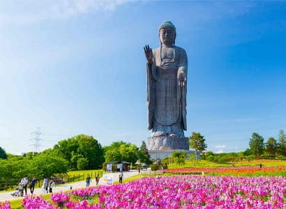 Tour Nhật Bản: TOKYO – PHÚ SĨ – TƯỢNG PHẬT USHIKI DAIBUTSU – CÔNG VIÊN ASHIKAGA FLOWER (5N4Đ)