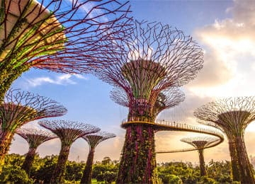 TOUR SINGAPORE (4N3Đ)