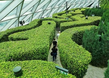 TOUR SINGAPORE (4N3Đ)