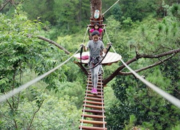 Tour Đà Lạt - Nha Trang (4N3Đ)