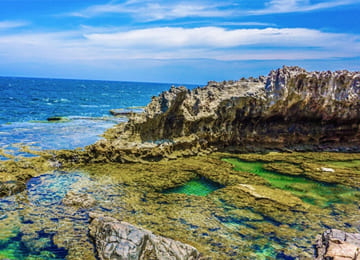 TOUR NINH THUẬN - NHA TRANG (4N3Đ)