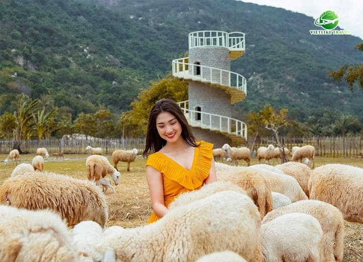 TOUR NINH THUẬN - NHA TRANG (4N3Đ)