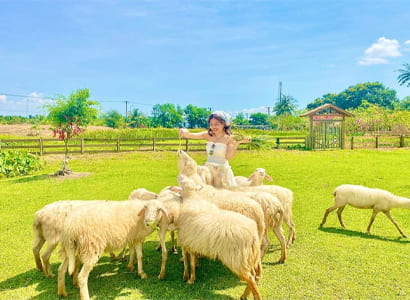 TOUR NINH THUẬN - NHA TRANG (4N3Đ)
