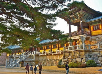 TOUR HÀN QUỐC: HÀ NỘI – BUSAN – GYEONGJU – SEOUL – ĐẢO NAMI – TÀU ĐIỆN – CỎ HỒNG MUHLY (6N5Đ)