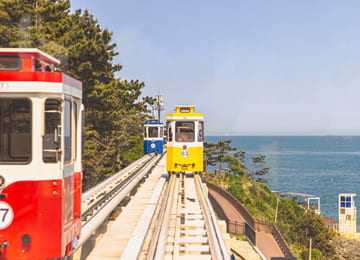TOUR HÀN QUỐC: HÀ NỘI – BUSAN – GYEONGJU – SEOUL – ĐẢO NAMI – TÀU ĐIỆN – CỎ HỒNG MUHLY (6N5Đ)