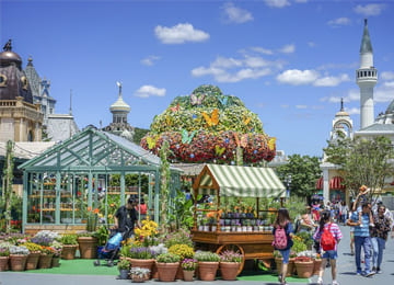 TOUR HÀN QUỐC: HÀ NỘI - SEOUL - NAMI - EVERLAND - PAINTER SHOW - ĐI PHÀ CHO HẢI ÂU ĂN (5N4Đ)