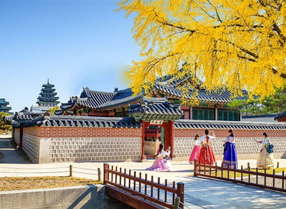 TOUR HÀN QUỐC: HÀ NỘI - SEOUL - NAMI - EVERLAND - PAINTER SHOW - ĐI PHÀ CHO HẢI ÂU ĂN (5N4Đ)