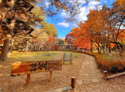 TOUR HÀN QUỐC: HÀ NỘI - SEOUL - NAMI - EVERLAND - RỪNG SEOUL - HÁI TÁO (5N4Đ)