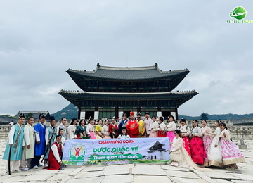 TOUR HÀN QUỐC:  SEOUL - JEJU - NAMI - CAMELLIA HILL - DU THUYỀN SANBANGSAN (6N5Đ)