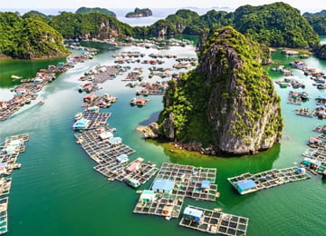 Tour Cát Bà - Vịnh Lan Hạ (2N1Đ)
