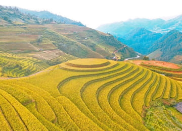 Tour Đông Tây Bắc: MÙ CANG CHẢI - ĐÈO KHAU PHẠ - TÚ LỆ (2N1Đ)