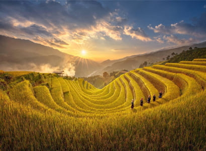 Tour Đông Tây Bắc: MÙ CANG CHẢI - ĐÈO KHAU PHẠ - TÚ LỆ (2N1Đ)