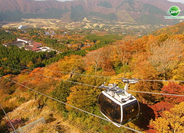 Tour Nhật Bản: Khám phá Tokyo mùa thu (5N4Đ)