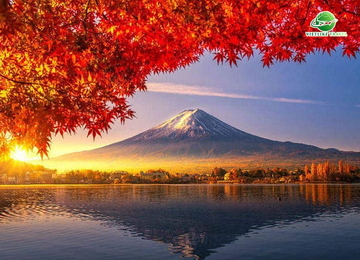 Tour Nhật Bản: Khám phá Tokyo mùa thu (5N4Đ)