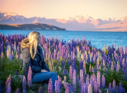 Tour New Zealand (9N8Đ)