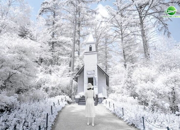 Tour Hàn Quốc mùa đông - No shopping (5N4Đ)