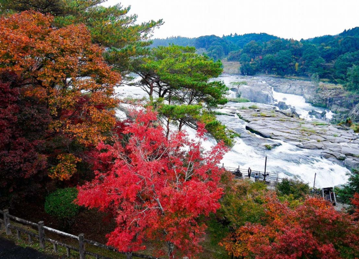 Tour QUYẾN RŨ SẮC HOA KAGOSHIMA Kagoshima - Sakurajima - Senganen 6N5Đ