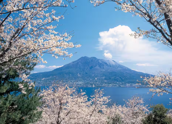 Tour QUYẾN RŨ SẮC HOA KAGOSHIMA Kagoshima - Sakurajima - Senganen 6N5Đ