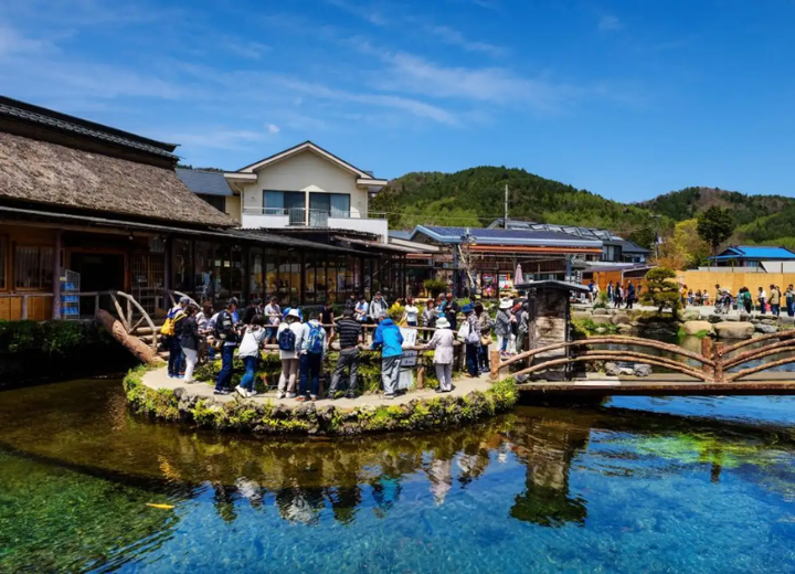 Tour cung đường vàng ngắm hoa đào Nhật Bản Nagoya – Shirakawa-go – Takayama – Fuji – Tokyo 6N5Đ