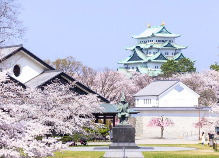 Tour cung đường vàng ngắm hoa đào Nhật Bản Nagoya – Shirakawa-go – Takayama – Fuji – Tokyo 6N5Đ