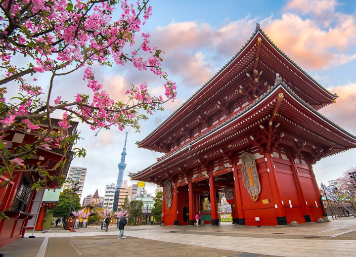 Tour cung đường vàng ngắm hoa đào Nhật Bản Nagoya – Shirakawa-go – Takayama – Fuji – Tokyo 6N5Đ