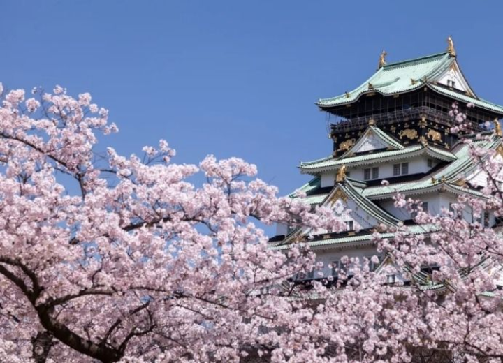 Tour Nhật Bản hè: Tokyo - Phú Sĩ - Kyoto - Osaka (6N5Đ)
