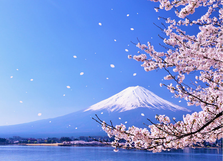 Tour Nhật Bản hè: Tokyo - Phú Sĩ - Kyoto - Osaka (6N5Đ)