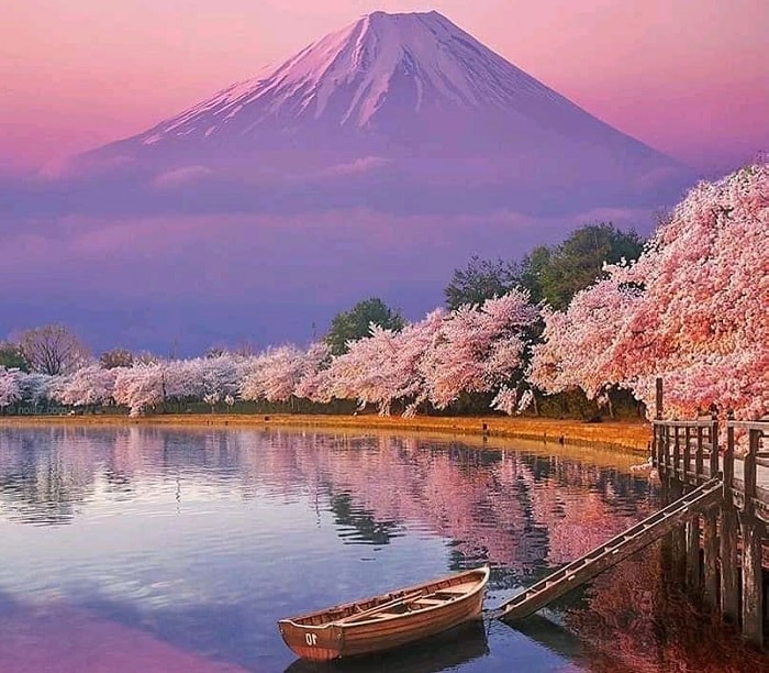 Tour Nhật Bản hè: Tokyo - Phú Sĩ - Kyoto - Osaka (6N5Đ)