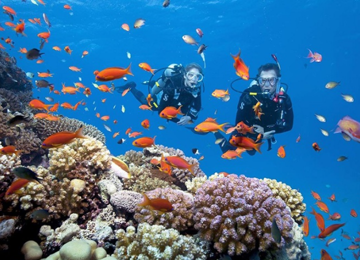 TOUR DU LỊCH HÈ DOANH NGHIỆP: HÀ NỘI - NHA TRANG (4N3Đ)