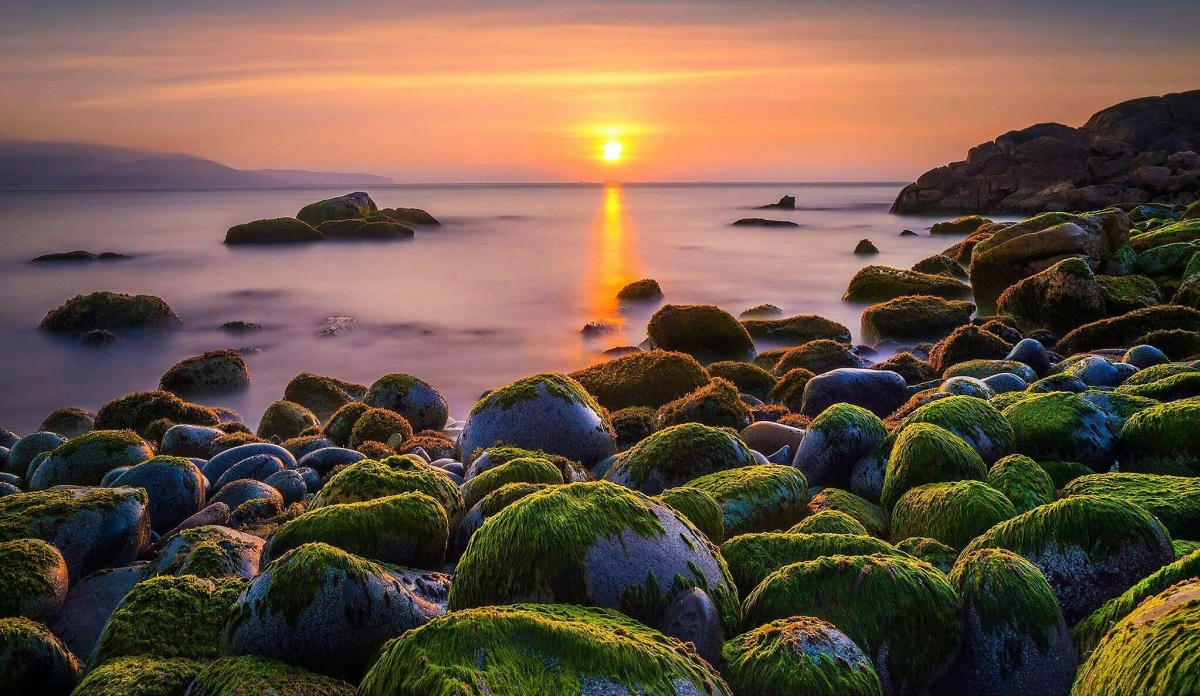 TOUR DU LỊCH HÈ DOANH NGHIỆP: QUY NHƠN – PHÚ YÊN (3N2Đ)