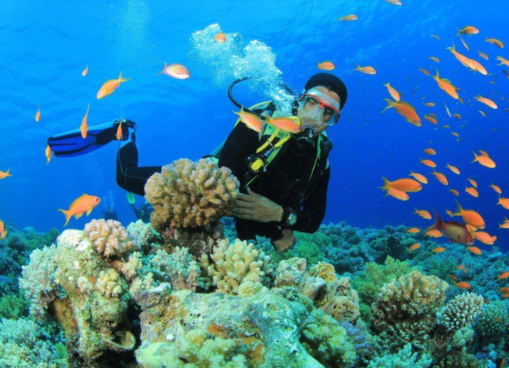 TOUR DU LỊCH HÈ DOANH NGHIỆP: NHA TRANG – MIỀN CÁT TRẮNG (3N2Đ)