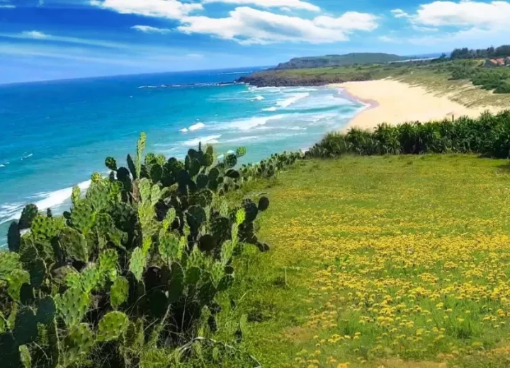 TOUR DU LỊCH HÈ DOANH NGHIỆP: HÀ NỘI - QUY NHƠN – PHÚ YÊN (4N3Đ)