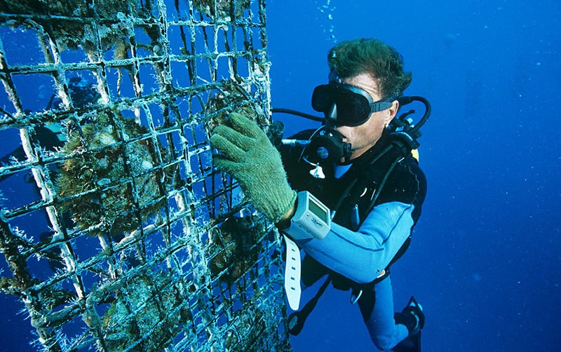 TOUR DU LỊCH HÈ DOANH NGHIỆP: HÀ NỘI - PHÚ QUỐC (4N3D)